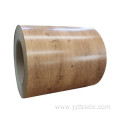 SS230 Color Coated Steel Coil